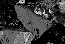 智能煤岩分析系统 助力显微镜企业发力炼焦配煤领域